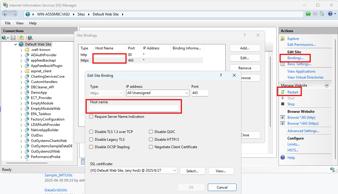 IIS hostname cleared